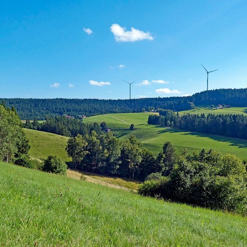 Mittelberg Linde Tennenbronn 1
