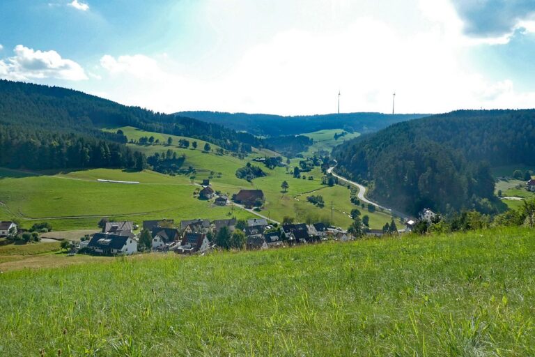 Mittelberg Linde Tennenbronn 2 Mittelberg Linde Tennenbronn 2