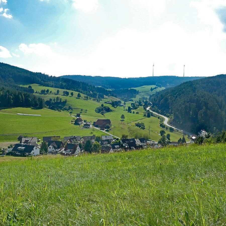 Mittelberg Linde Tennenbronn 2