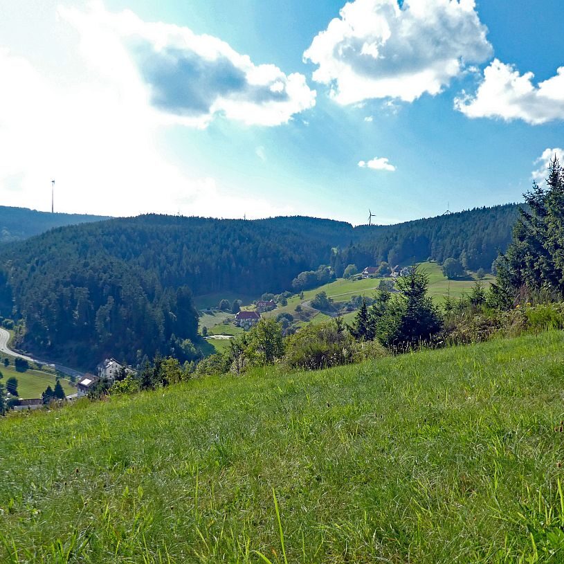 Mittelberg Linde Tennenbronn 3