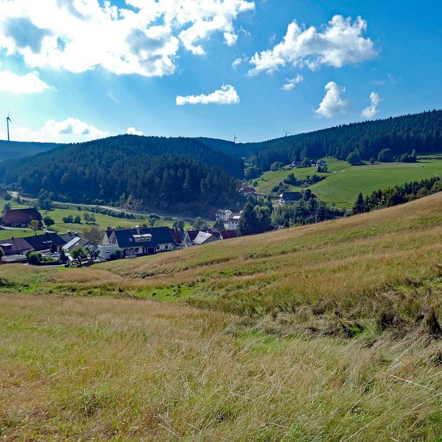 Mittelberg Linde Tennenbronn 4