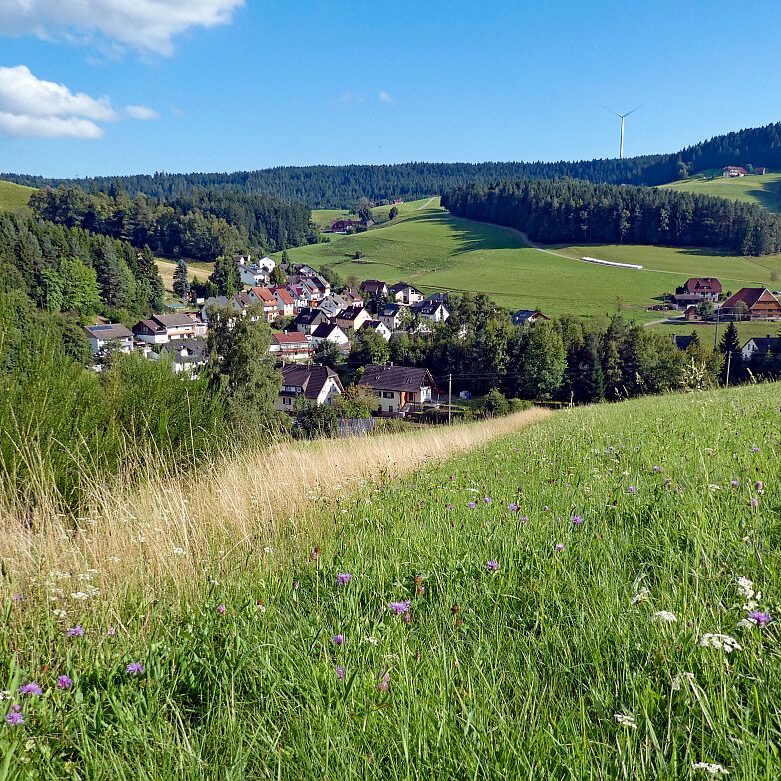 Mittelberg Linde Tennenbronn 5