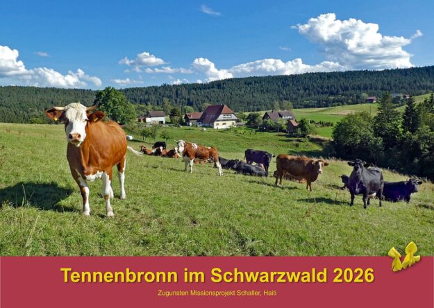 00 DeckblattHubKühe