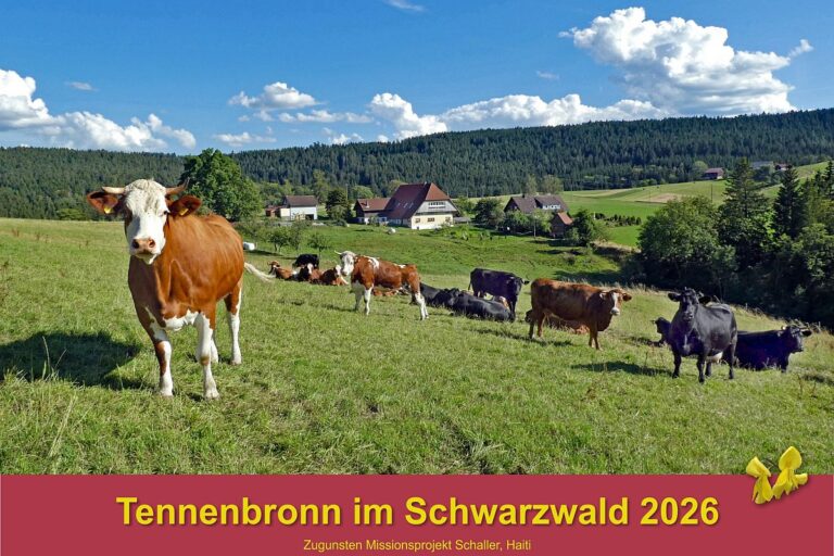 00 DeckblattHubKühe