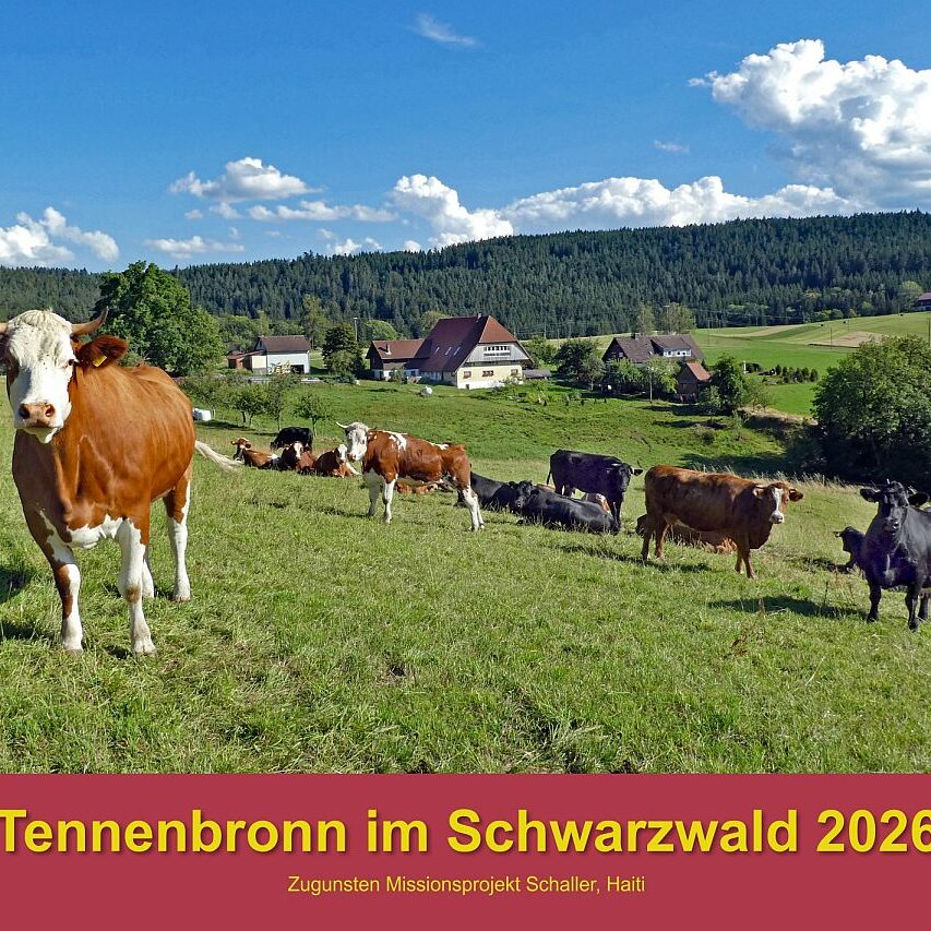 00 DeckblattHubKühe