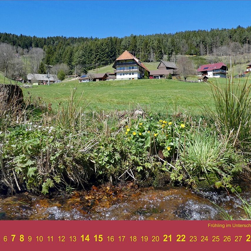 03 Unterschiltach Fruehling