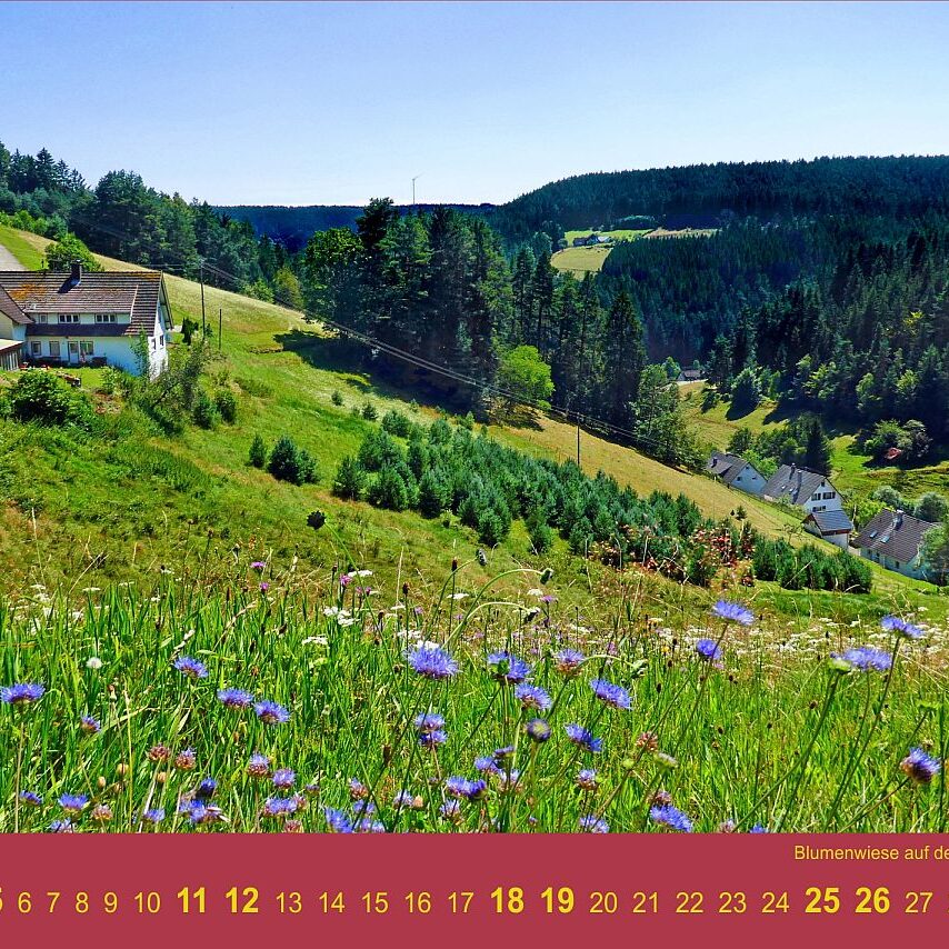 07 Buehl Bluemnwiese