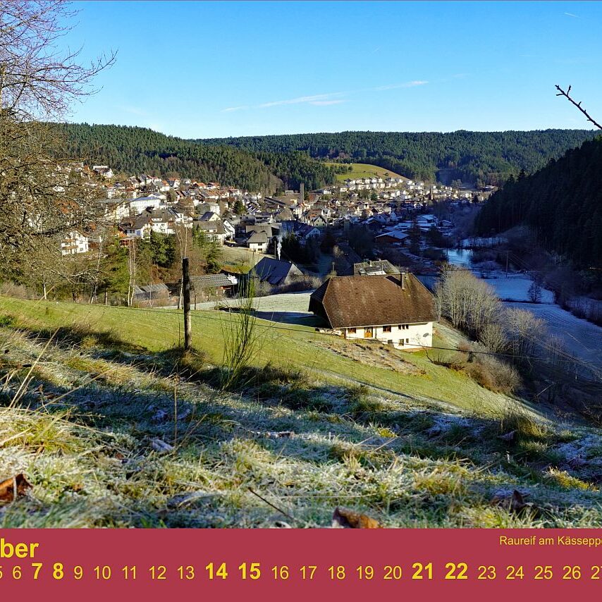 11 Kaesseppenberg Rauhreif