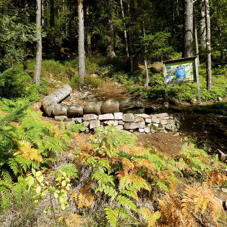 Schmetterlingspfad 1