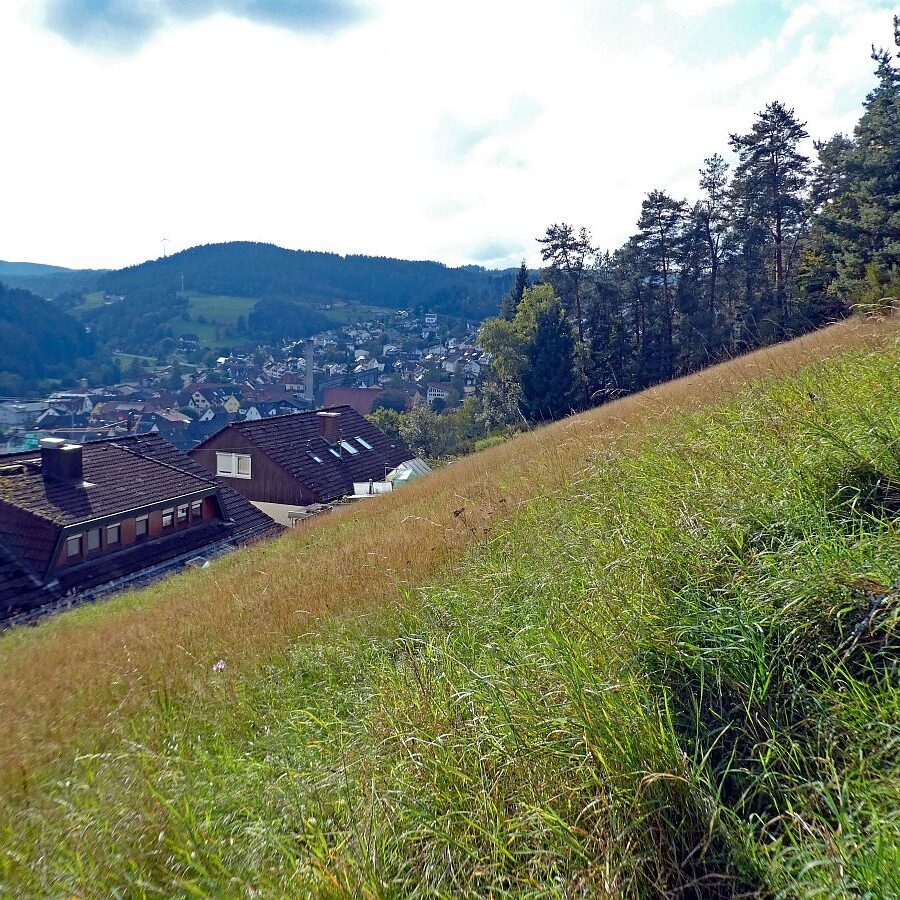 Schmetterlingspfad 10