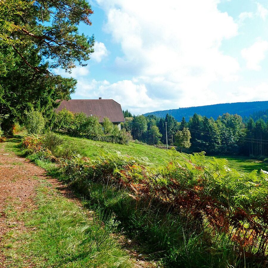 Schmetterlingspfad 2