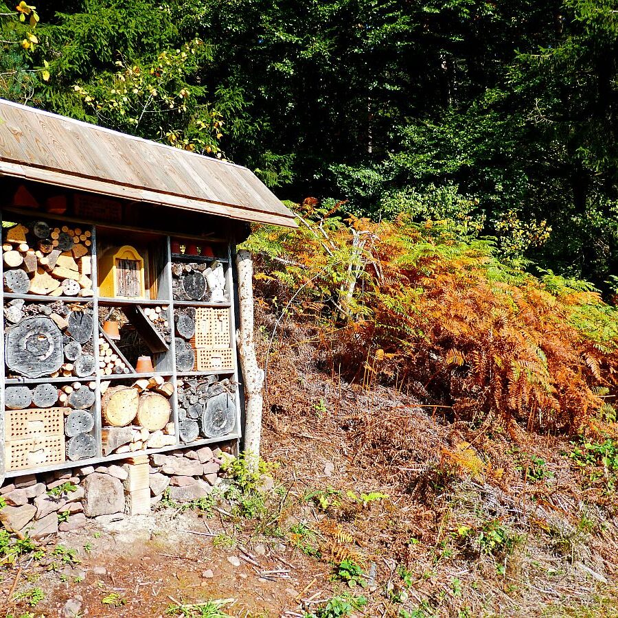 Schmetterlingspfad 3