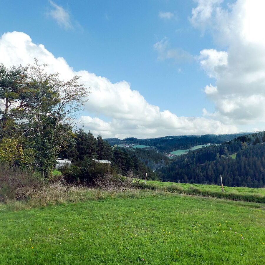 Schmetterlingspfad 8