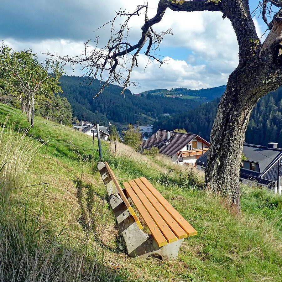 Schmetterlingspfad 9