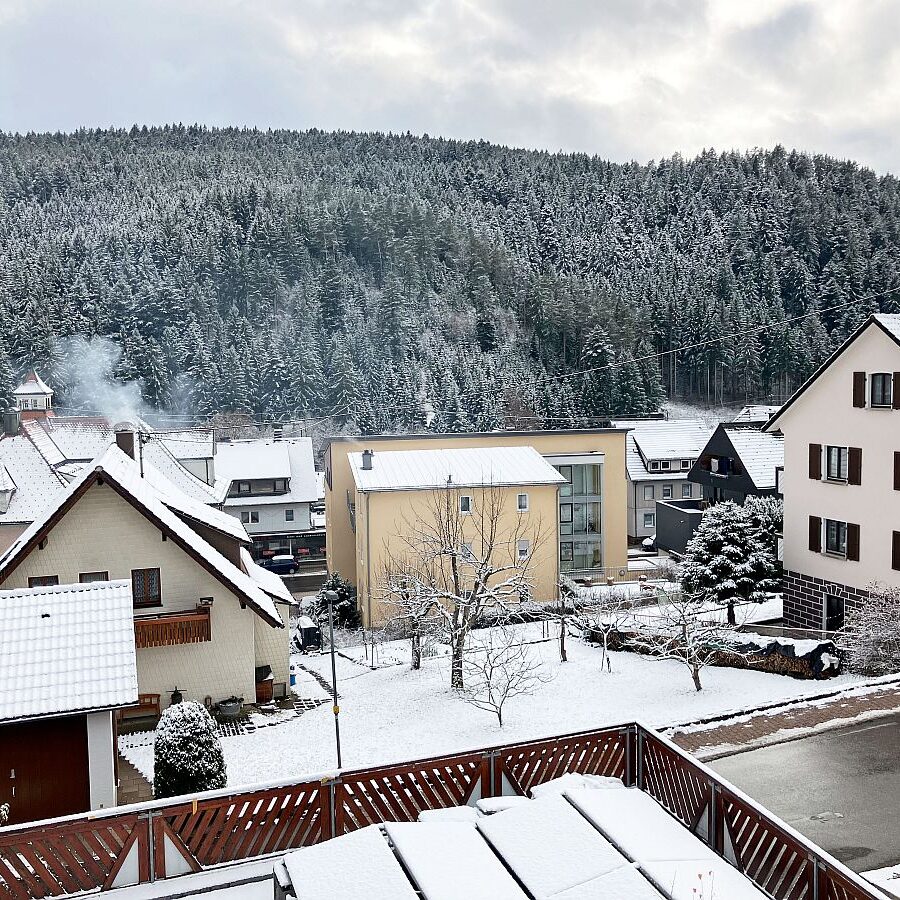 2025 Erster Schnee 1