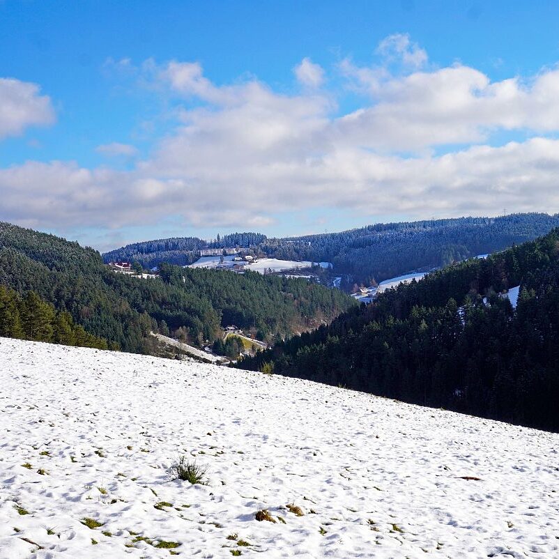 Winter Sommermoos Bühl 02