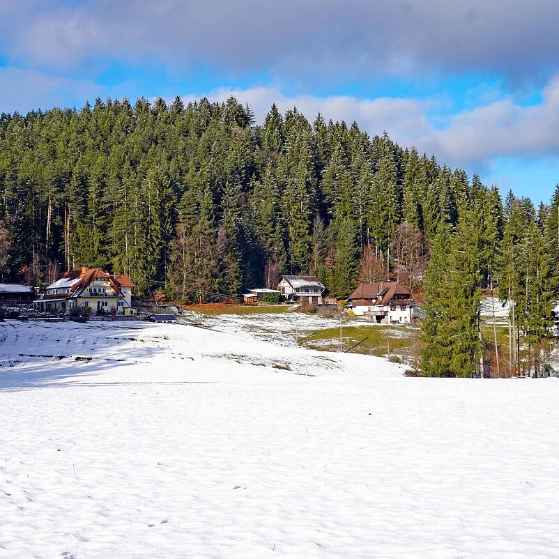 Winter Sommermoos Bühl 03