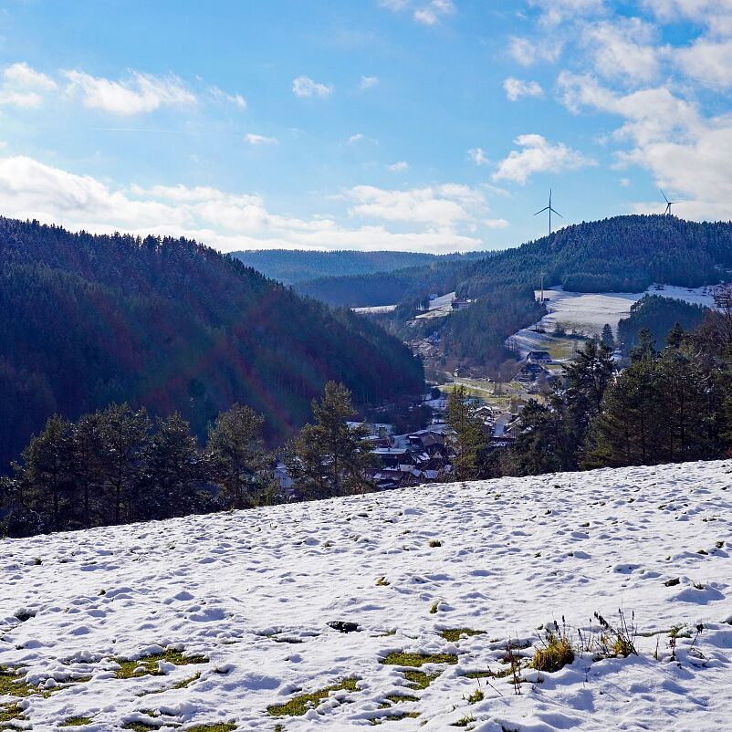 Winter Sommermoos Bühl 05