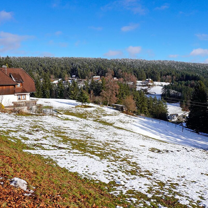 Winter Sommermoos Bühl 06