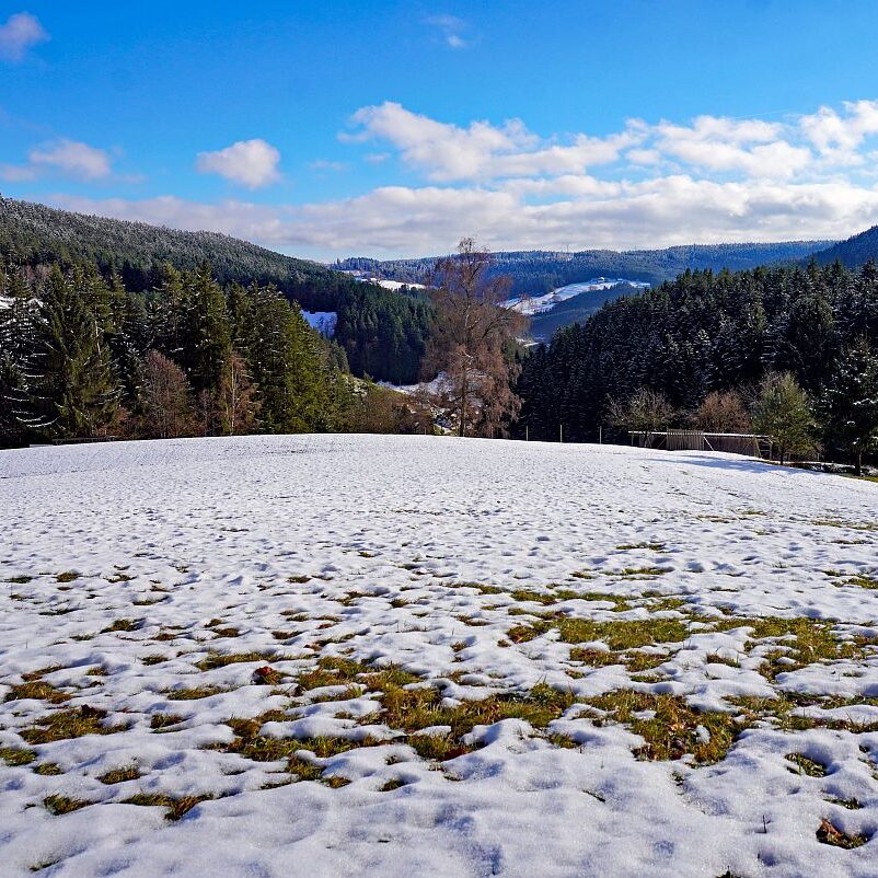 Winter Sommermoos Bühl 07