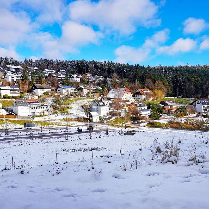 Winter Sommermoos Bühl 08