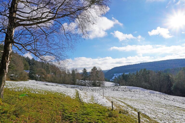 Winter Sommermoos Bühl 09 Winter Sommermoos Bühl 09