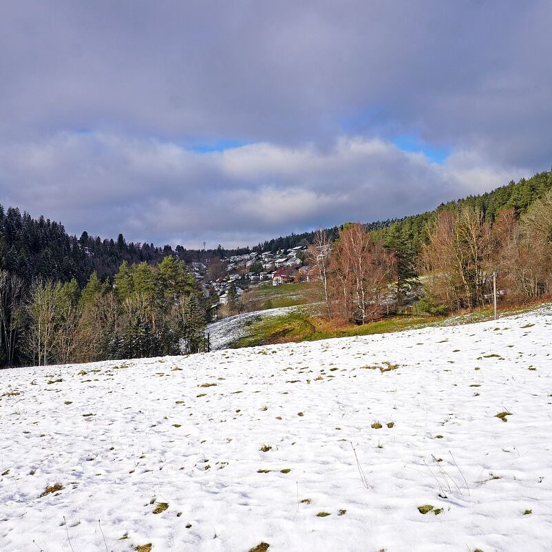 Winter Sommermoos Bühl 10