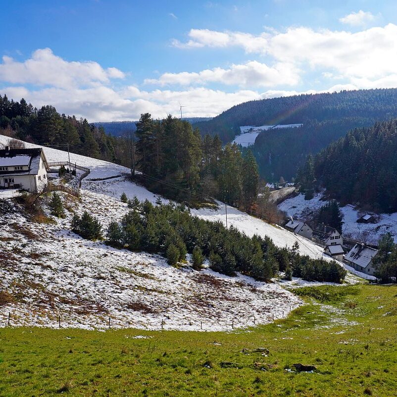 Winter Sommermoos Bühl 11