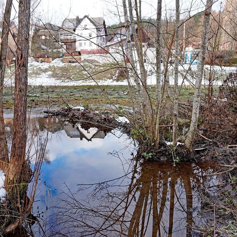 Biber Tennenbronn 01