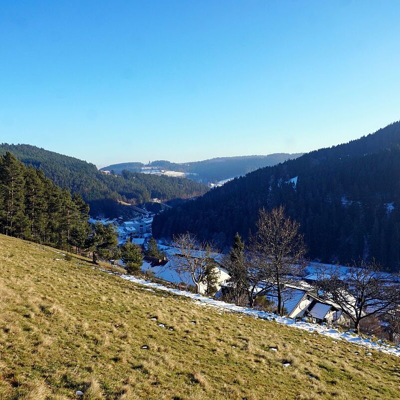 Dorfberg Sommermoos 01