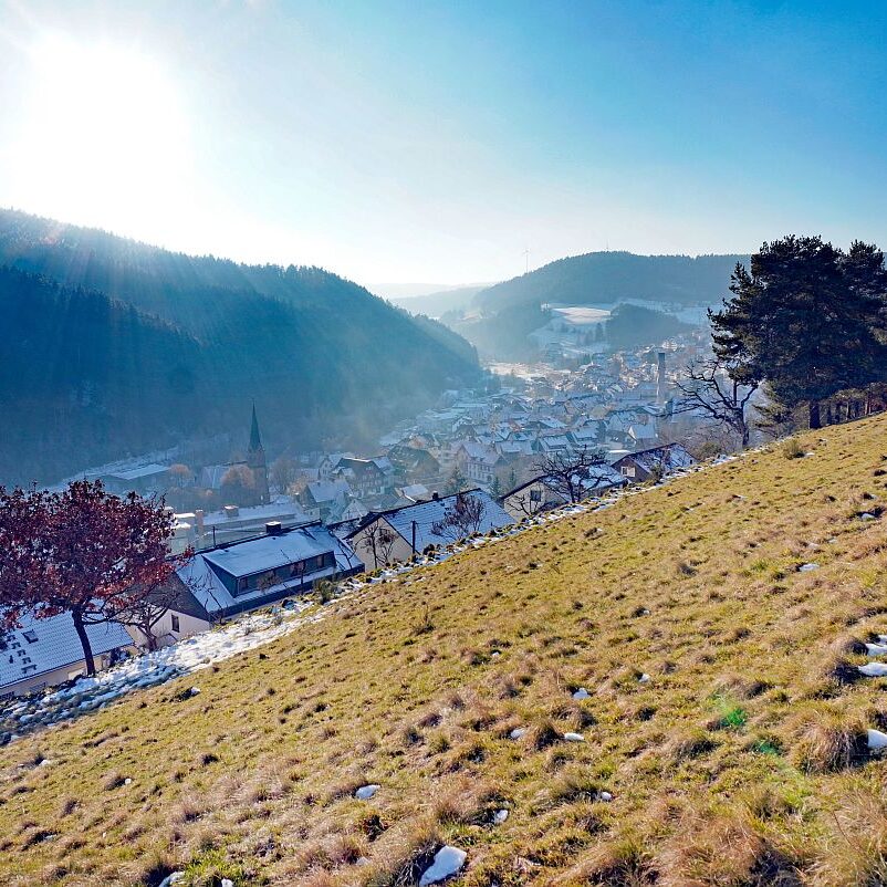 Dorfberg Sommermoos 02