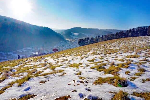 Dorfberg Sommermoos 03 Dorfberg Sommermoos 03