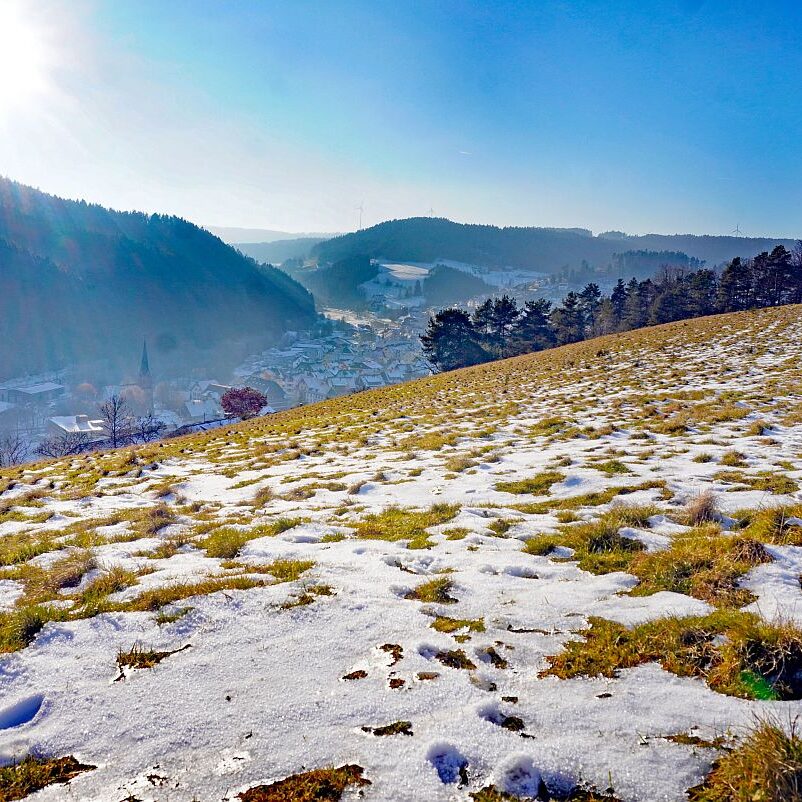 Dorfberg Sommermoos 03