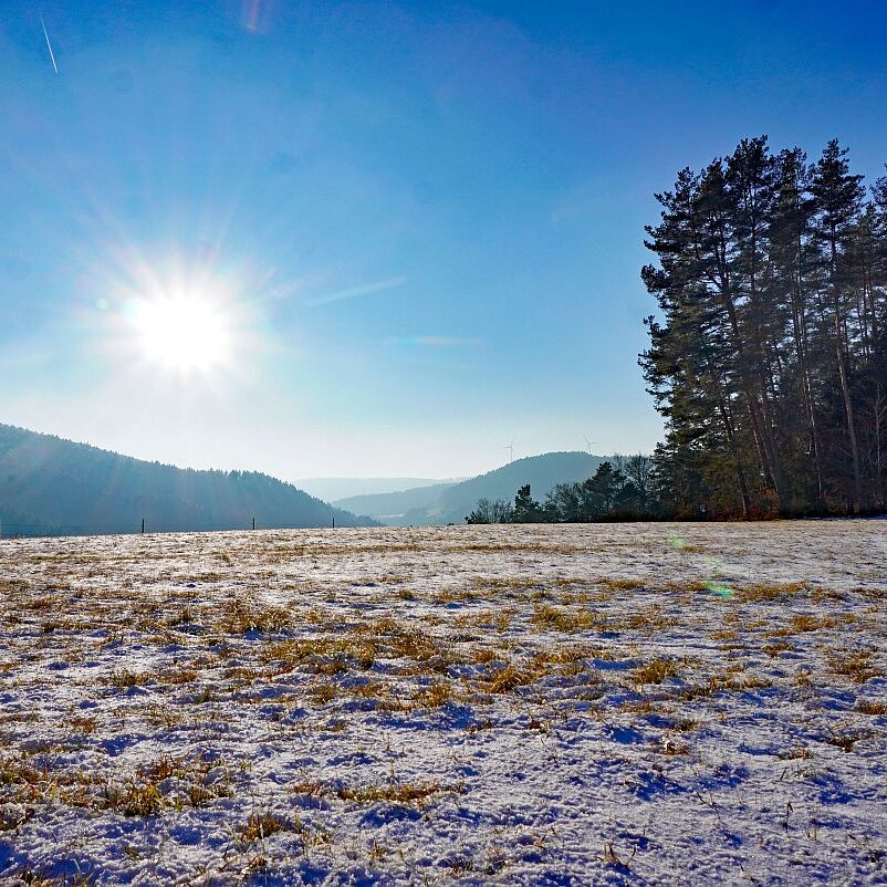 Dorfberg Sommermoos 09