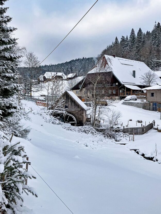 Schnee Tennenbronn 08