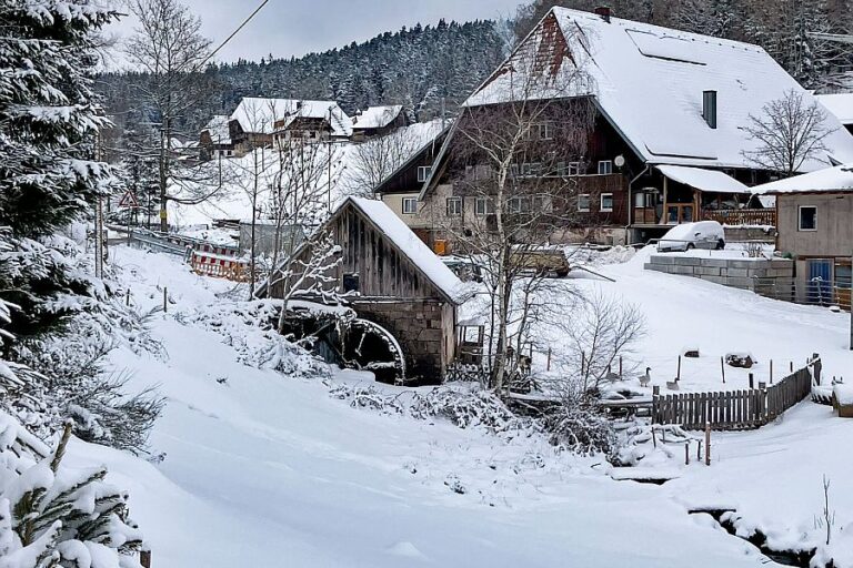 Schnee Tennenbronn 08