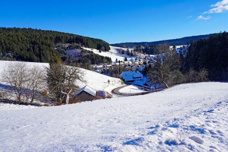 Winter Tennenbronn 01