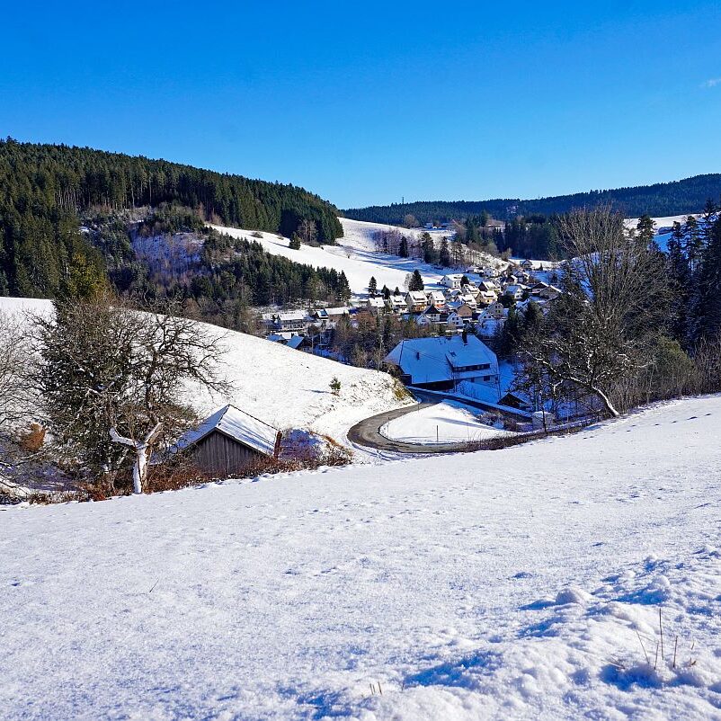 Winter Tennenbronn 01