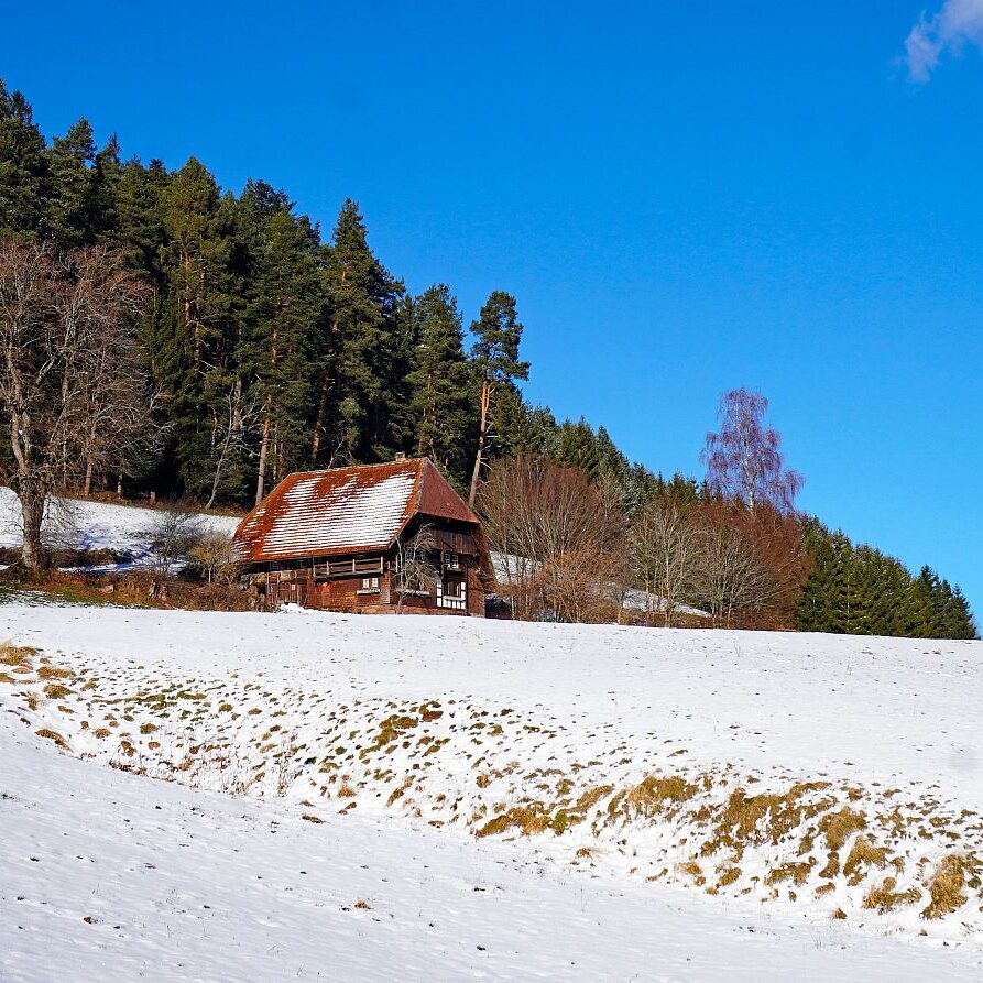 Winter Tennenbronn 02