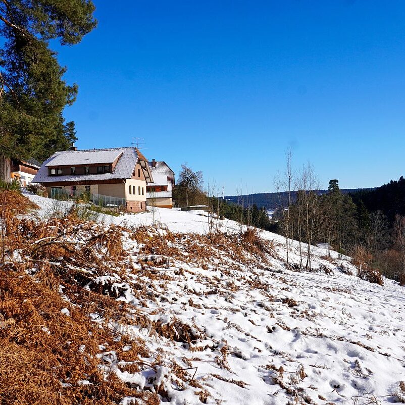 Winter Tennenbronn 04