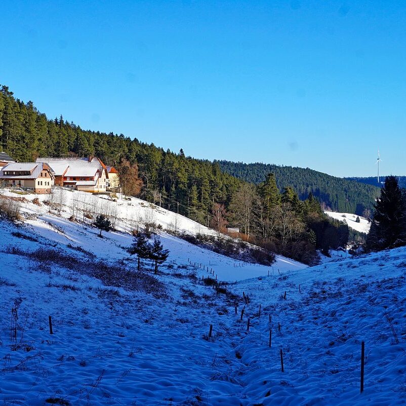 Winter Tennenbronn 06