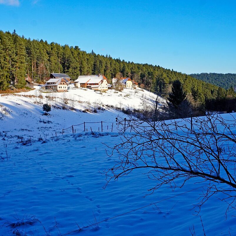 Winter Tennenbronn 07