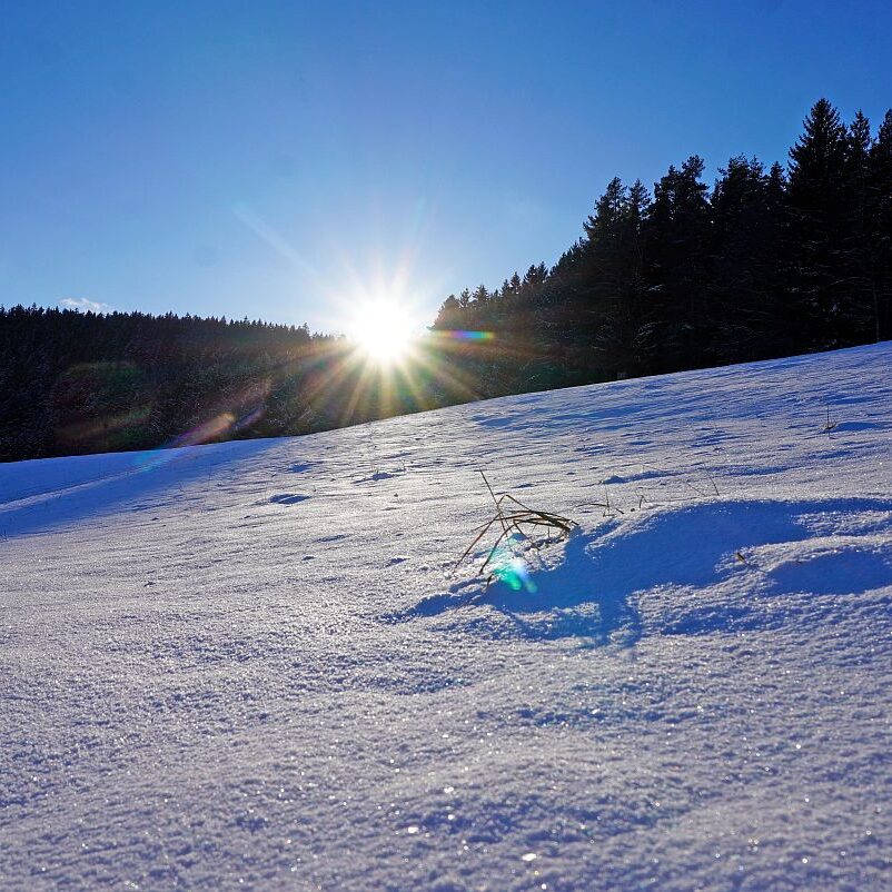 Winter Tennenbronn 11