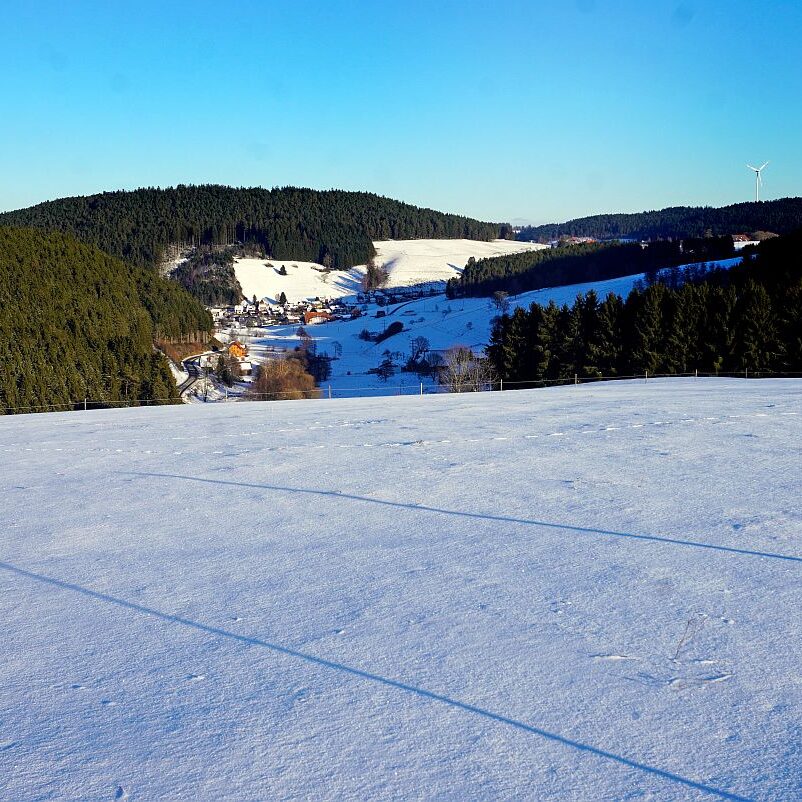 Winter Tennenbronn 13