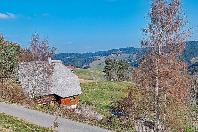 Mittelberg 06 Mittelberg 06