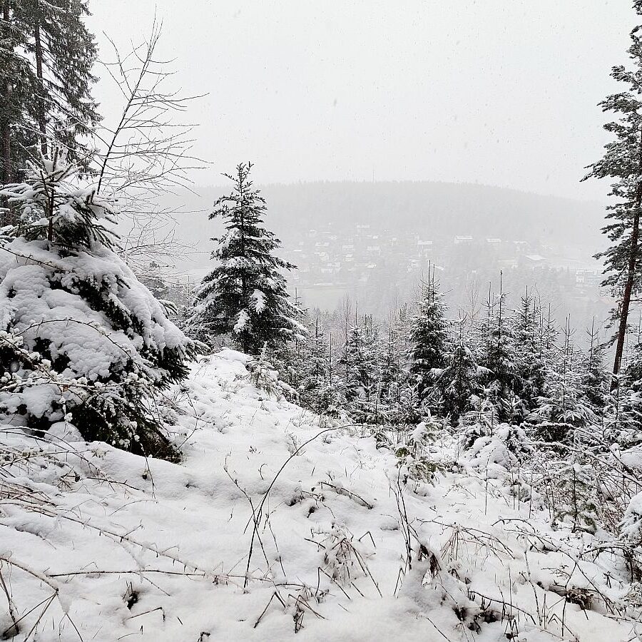 Schnee Dorfblickrunde 2