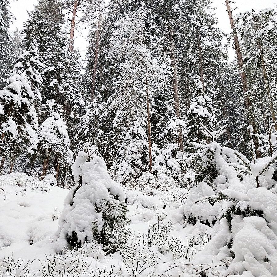 Schnee Dorfblickrunde 3