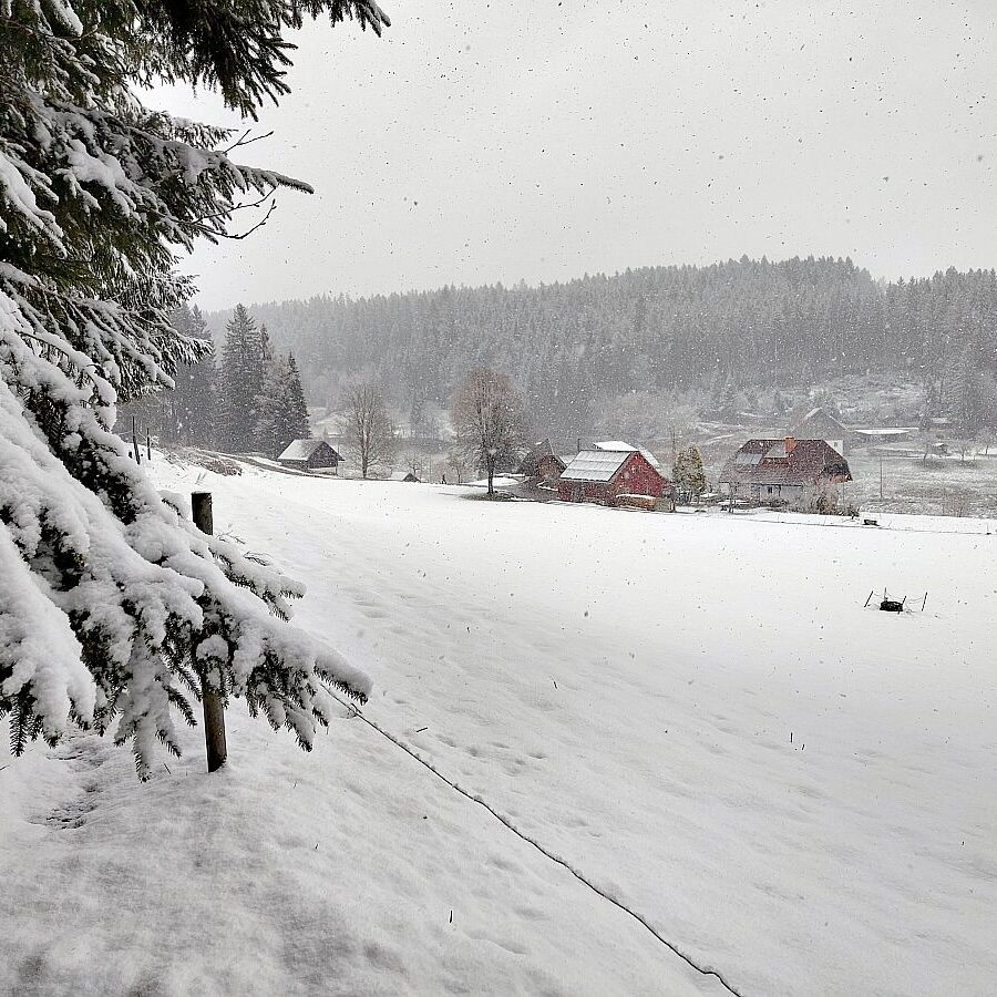 Schnee Dorfblickrunde 4