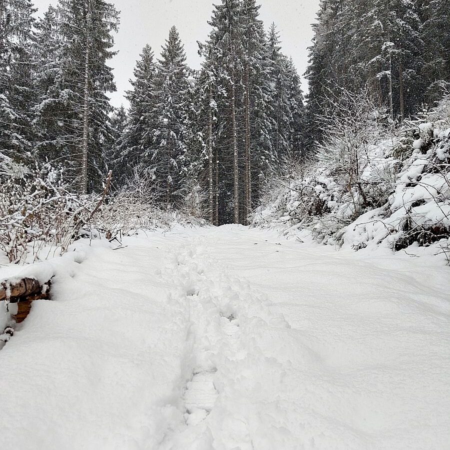 Schnee Dorfblickrunde 5