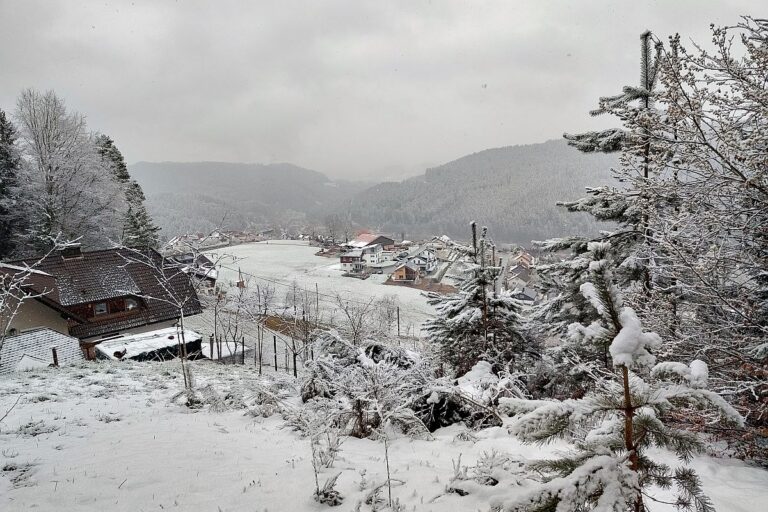 Schnee Dorfblickrunde 7